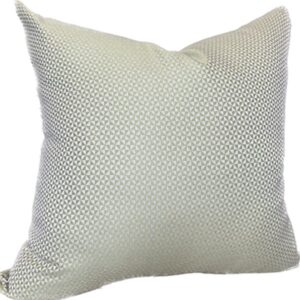 MoJo Chameleon Cover