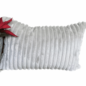 MoJo The lamb - Cover